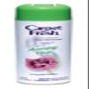 Carpet Fresh Quick-Dry Foam, Morning Rain, 10.5 OZ Morning Rain 10.5 Ounce (Pack of 1) view 1