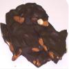 Scott's Cakes Dark Chocolate Almond Bark in a 1 Pound Snowflake Box view 1