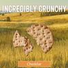 Sesmark Gluten Free Rice Thins Cheddar - Non GMO Project Verified - 3.5 Ounce (Pack of 12) view 3