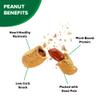 Hampton Farms - USA Grown All-Natural - Fancy Roasted In-Shell Salted Peanuts - 5 lb. Bag view 3
