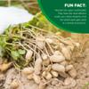 Hampton Farms - USA Grown All-Natural - Fancy Roasted In-Shell Salted Peanuts - 5 lb. Bag view 4