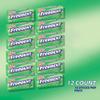FREEDENT Peppermint Chewing Gum, 15 Stick (Pack of 12) view 3