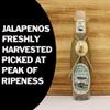 Pure Jalapeno Pepper Hot Sauce Mash Puree 3.75oz - Try if you dare!  Perfect Gourmet Gift for the Hot Sauce Fan - Great for Making Hot Sauce view 3