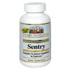 21st Century Sentry, 300 Tablets view 1