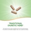 Nature's Way Dandelion Root Capsules, 1,575 mg per Serving, 100 ct view 2