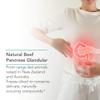 Nutricology Pancreas Pork 425mg Supplement - Pancreas Natural Glandular, Pancreatic Enzymes, Amylase, Protease, Lipase, Hypoallergenic - 60 Count view 4