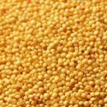 Amaranth, Organic, 5# Bulk