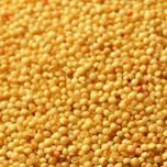 Amaranth, Organic, 5# Bulk