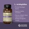 Acidophilus (90 caps) - Natures Sunshine view 4