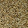 2-Row Brewers Malt for Home Brewing Whole Grain 10lbs view 4