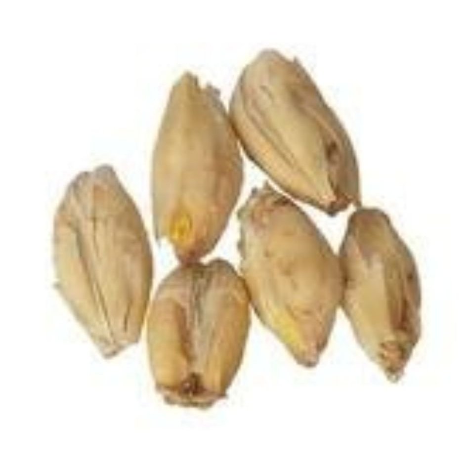 2-Row Brewers Malt For Home Brewing Crushed Grain 10 lbs