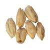 2-Row Brewers Malt For Home Brewing Crushed Grain 10 lbs view 1