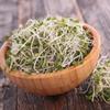 Organic Broccoli Sprouting Seeds by Handy Pantry | 4 oz. Resealable Bag | Non-GMO Broccoli Sprouts Seeds, Contain Sulforaphane view 3
