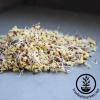 Organic Broccoli Sprouting Seeds by Handy Pantry | 4 oz. Resealable Bag | Non-GMO Broccoli Sprouts Seeds, Contain Sulforaphane view 4