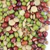 Bean Salad Sprouting Seed Mix  Organic  4 oz (1/4 lb)  Adzuki, Green Lentil & Radish Blend  for Sprouting, Salads, Soup & Food Storage view 2