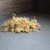 Organic Dried Green Lentil Sprouting Seed: 8 Oz - Dry Lentils for Planting Garden Seeds, Soup, Cooking or Sprout Salad, Sprouts view 3