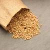 Organic Dried Green Lentil Sprouting Seed: 8 Oz - Dry Lentils for Planting Garden Seeds, Soup, Cooking or Sprout Salad, Sprouts view 4