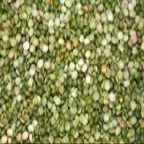 Peas, Split, Green, Organic, 5# Bulk