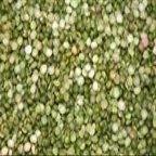 Peas, Split, Green, Organic, 5# Bulk