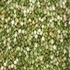Peas, Split, Green, Organic, 5# Bulk view 1