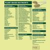 Vital All-in-One Daily Powdered Supplement - Natural Greens Superfood Powder for Energy & Health, Super Greens Powder Drink Mix with Probiotic & Antioxidant Support - 4.23 oz (12 Servings) view 2