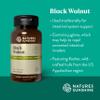 Nature's Sunshine Black Walnut 100 Capsules view 4