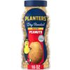 PLANTERS Salted Peanuts, Dry Roasted Peanuts, Party Snacks, Plant Based Protein, Snacks For Adults, 16oz (1 Jar) view 1