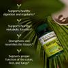 Banyan Botanicals Haritaki Tablets  Certified Organic Terminalia Chebula  Supports Detoxification & Rejuvenation*  90 Tablets  Non-GMO Sustainably Sourced Certified Fair for Life Fair Trade view 2