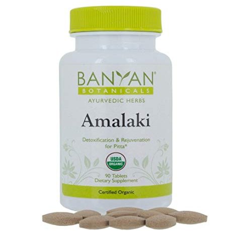 Banyan Botanicals Organic Amla Tablets - Natural Vitamin C for Collagen Support & Immune Health - Amalaki Indian Gooseberry for Glowing Skin, Hair & Healthy Digestion - 90 Tablets - Non-GMO, Vegan*