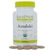 Banyan Botanicals Organic Amla Tablets - Natural Vitamin C for Collagen Support & Immune Health - Amalaki Indian Gooseberry for Glowing Skin, Hair & Healthy Digestion - 90 Tablets - Non-GMO, Vegan* view 1