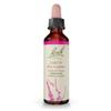 Bach Original Flower Remedies, Larch - Have Confidence - Natural Homeopathic Flower Essence for Emotional Balance - Vegan, Gluten Free, Sugar Free - 20mL Dropper view 1