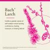 Bach Original Flower Remedies, Larch - Have Confidence - Natural Homeopathic Flower Essence for Emotional Balance - Vegan, Gluten Free, Sugar Free - 20mL Dropper view 3