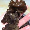 Dried Premium Wood Ear Mushrooms, 1 Pound Box view 4