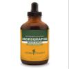 Herb Pharm Andrographis Liquid Extract for Immune System Support - 4 Ounce view 1