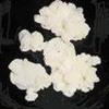 Kefir Grains Starter Kit, Live Grain, Dairy Culture view 1