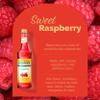Monin - Sugar Free Raspberry Syrup, Sweet and Tart, Great for Cocktails and Lemonades, Gluten-Free, Non-GMO (750 ml) view 3