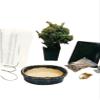 Bonsaiboy Starter Kit - Juniper Procumbens Make Your Own Bonsai Tree view 1