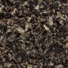 Frontier Co-op Organic Black Beans Flakes 1lb - For Black Bean Burger Patties, Dry Bean Soup Mix, Black Bean Dip and More view 2