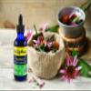 Dr. Rydland's Herbal Supplement | Created by KidsWellness | Safe and Effective for Infants to Adults| Immune | Colds, Flu, Bronchial and Croup Symptoms | 2 Ounce Bottle view 2