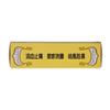 701 Dieda Zhentong Yaogao Medicated Plaster by Solstice view 4