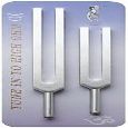 Lemniscate Music Sound Healing Tools - High Ohm Octave Set 2 pc - Tuning Forks And Acessories
