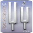 Lemniscate Music Sound Healing Tools - High Ohm Octave Set 2 pc - Tuning Forks And Acessories