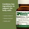 Standard Process Inc. Chlorophyll Complex - Immune Support, Antioxidant Activity, Skin Health and Hair Health Support with Vitamin A, Sunflower Lecithin, Buckwheat, Spanish Moss - 60 Softgels view 4