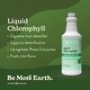 Nature's Sunshine Liquid Chlorophyll - Immunity Support, Detox & Cleanse, Chlorophyll Liquid Drops with Spearmint Oil, Natural Energy Boost, Internal Deodorant - 16 Fl Oz view 2