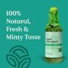 Nature's Sunshine Liquid Chlorophyll - Immunity Support, Detox & Cleanse, Chlorophyll Liquid Drops with Spearmint Oil, Natural Energy Boost, Internal Deodorant - 16 Fl Oz view 3