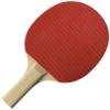 Gamecraft Standard Sponge Rubber Paddle (2.0mm) view 1