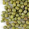 Mung Bean Sprouting Seed: 2.5 Lb - Organic, Non-GMO - Handy Pantry Brand - Dried Moong Beans for Sprouts, Garden Planting, Chinese & Asian Cooking, Soup & More view 2