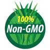 Mung Bean Sprouting Seed: 2.5 Lb - Organic, Non-GMO - Handy Pantry Brand - Dried Moong Beans for Sprouts, Garden Planting, Chinese & Asian Cooking, Soup & More view 4