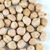 Dried Garbanzo Beans- Organic Sprouting Seeds - 1 Lbs - Handy Pantry Brand - Dry Garbonzo Bean / Seeds - For Planting, Gardening, Hummus, Cooking, Food Storage, Sprouts Product Name view 2
