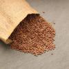 Organic Red Lentil Sprouting Seeds -5 Lbs - Handy Pantry Brand - Red Lentils- Perfect for Garden Seeds, Gardening, Salad, Soup, Sprouts & Food Storage view 2